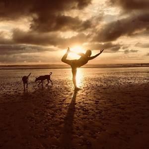 Meet your Posher, Stella